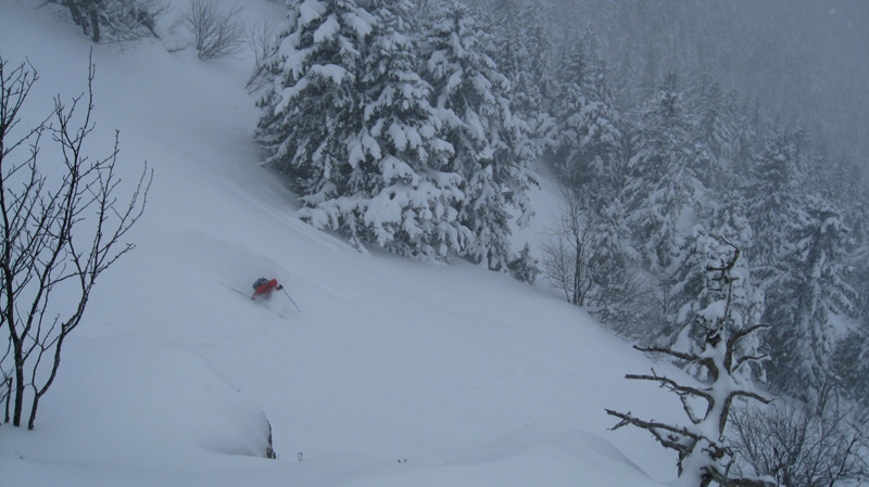 #3 Haut du Sw : Delle essaie de rester en surface Haut du Sw : Delle essaie de rester en surface