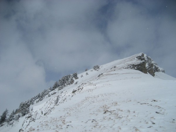 #2 Colombier : L Colombier : L' arête S de montée, et le petit couloir au dessous des sapins.