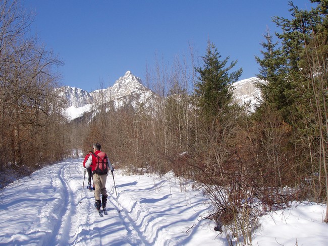 #1 Départ : Bon enneigement Départ : Bon enneigement