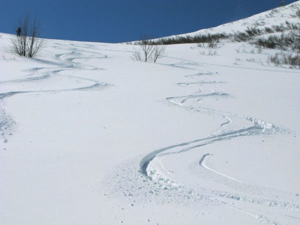#2 Sous le col : La seule zone où l Sous le col : La seule zone où l'on pouvait skier correctement (mais poudre très tassée)