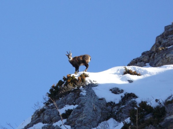 #1 Rochers de l Rochers de l'Ours