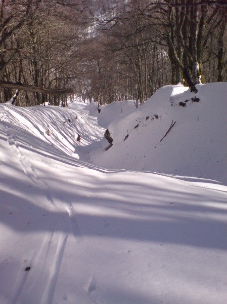 #9 montée 3 : En route vers le Puy de Cacadogne montée 3 : En route vers le Puy de Cacadogne