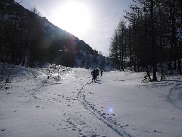 Sortie de la forêt : Montée très sympa dans une petite couche de neige fraiche.