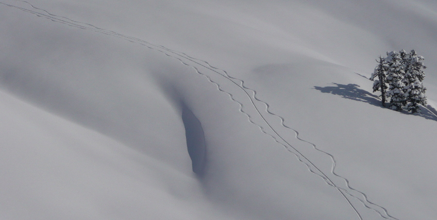 Traces : lignes épurées