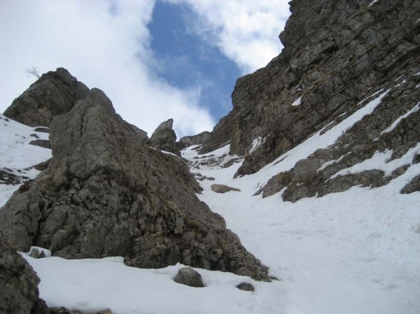 Les Avalanches : La "bête"...