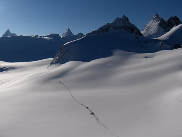 Glacier du Mont Miné : les premières cordées en direction de Tête Blanche