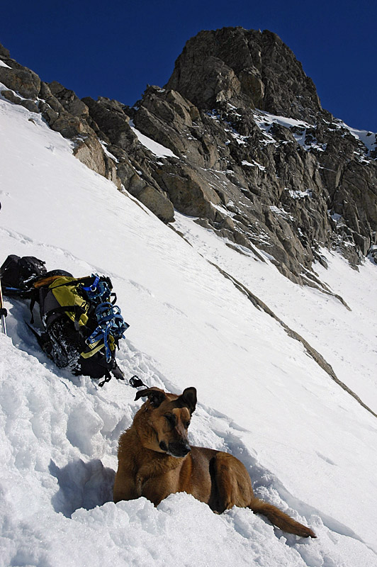 #8 La Pause : ....... et Django m La Pause : ....... et Django m'attends là !