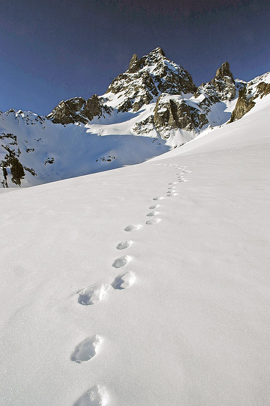 #5 Seul au monde (bis) ? : Le chemin est tout tracé, pas possible de se perdre ! Seul au monde (bis) ? : Le chemin est tout tracé, pas possible de se perdre !