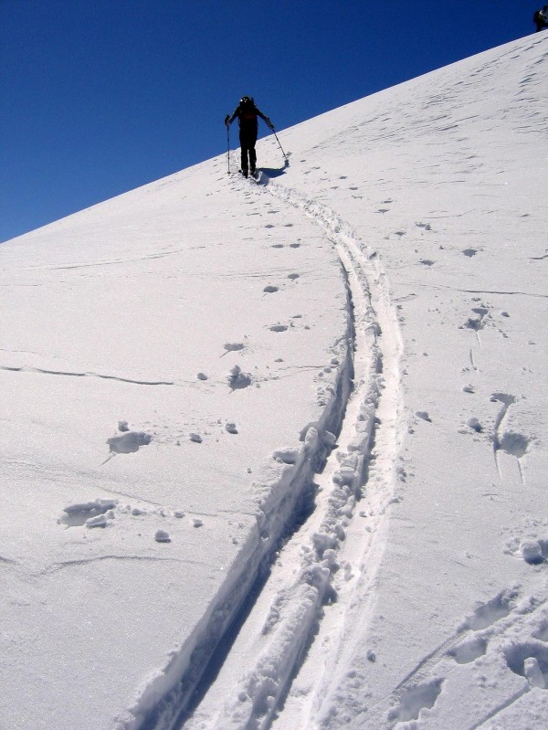 #2 Les Monts : Trace Les Monts : Trace