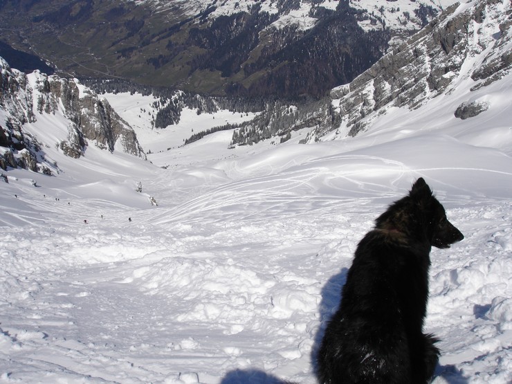 #7 Anko : Surveille les avalanches !! Anko : Surveille les avalanches !!