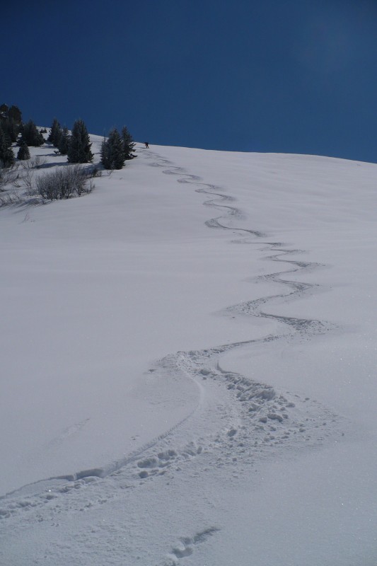 #2 Nos traces : Nos traces sous la balme, direction Casserousse. Nos traces : Nos traces sous la balme, direction Casserousse.