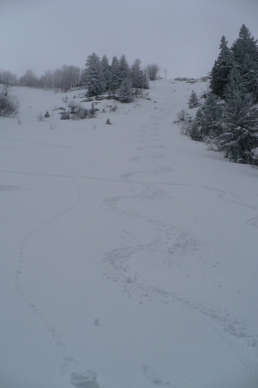 #1 Le couloir : Trace dans le couloir au-dessus du téleski des marmottes. Le couloir : Trace dans le couloir au-dessus du téleski des marmottes.