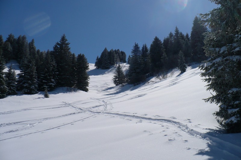 #2 Nos traces : Nos traces de montée et de descente. Secteur : Au dessus du TK desmarmottes. Nos traces : Nos traces de montée et de descente. Secteur : Au dessus du TK desmarmottes.