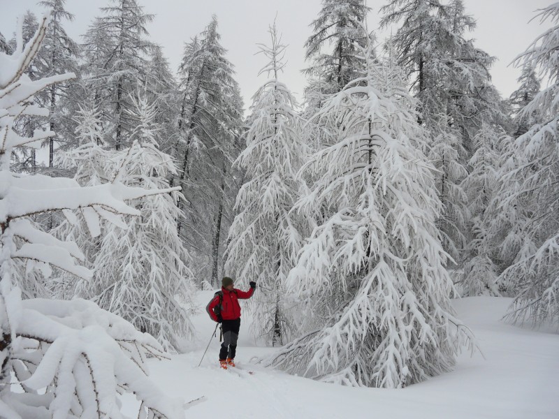 #5 Tête de Fouran : ambiance hivernale Tête de Fouran : ambiance hivernale