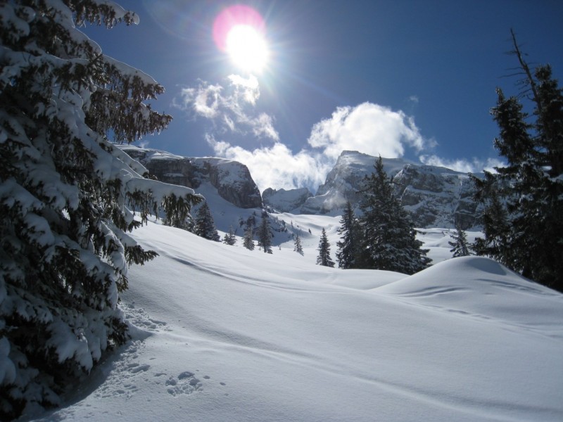 #2 Combe de Chombas : Paysage magique.. ca ressemble à l Combe de Chombas : Paysage magique.. ca ressemble à l'hiver