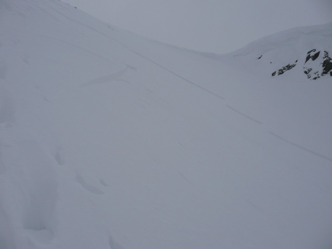 la petite plaque : qui a purgé tout le couloir