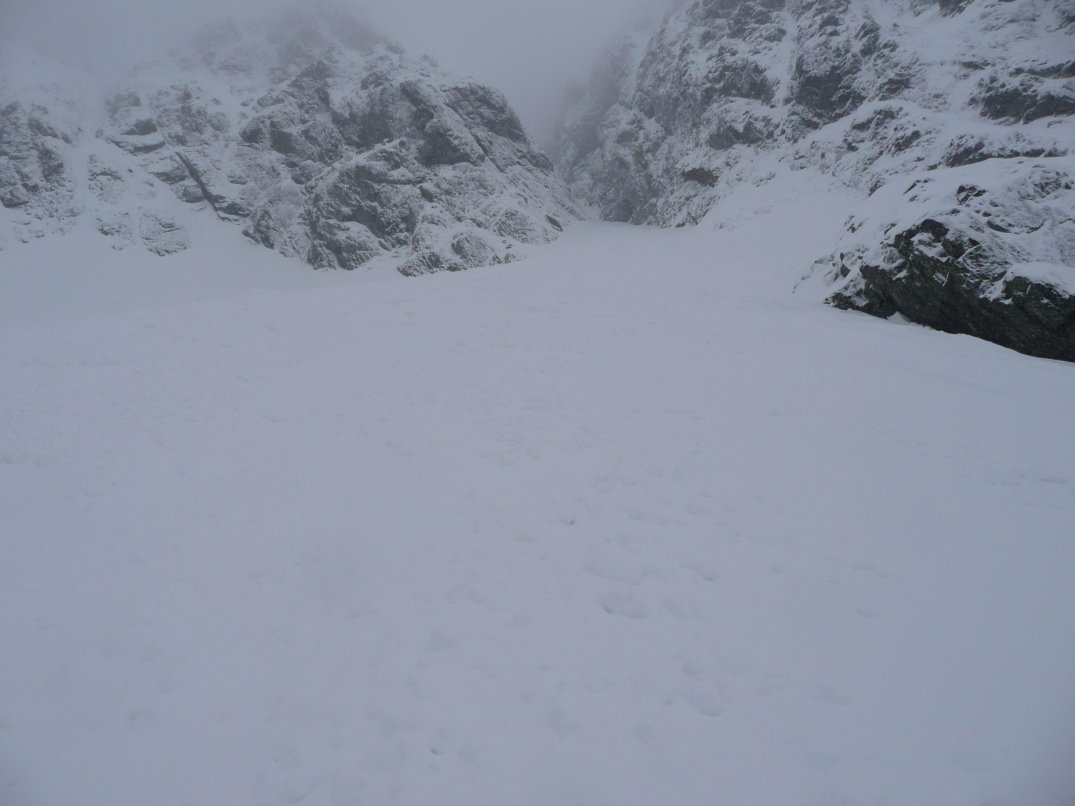 entrée du couloir : des purges anciennes au pied