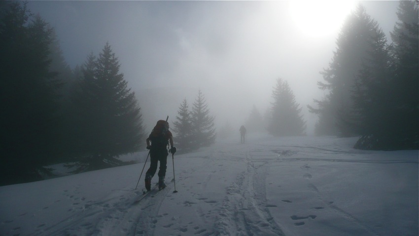 Sortie des nuages : Nous sortons de la forêt et des nuages