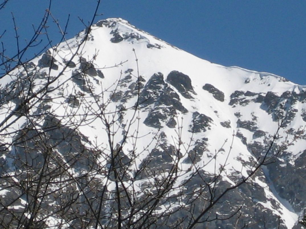 #3 Face Ouest pic du Loup : Pas évidente à déceler .. bravo aux auteurs descendus direct du sommet, sur 2/3, puis traversé de gauche à droite. Pour moi, rive gauche depuis 50 m sous sommet. Face Ouest pic du Loup : Pas évidente à déceler .. bravo aux auteurs descendus direct du sommet, sur 2/3, puis traversé de gauche à droite. Pour moi, rive gauche depuis 50 m sous sommet.