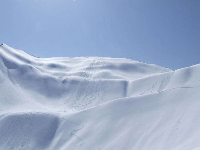 quelques grammes de finesses : dans un monde de neige