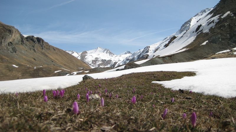 Vallée de Maljasset : Séance photos avant le portage au milieu des marmottes.