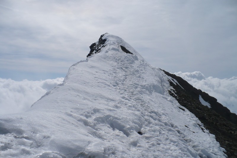 #5 L L'arête sommital.