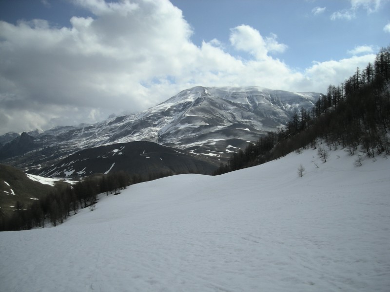 #2 Vallon du Crachet : 2cm de neige de la nuit pour la deco Vallon du Crachet : 2cm de neige de la nuit pour la deco