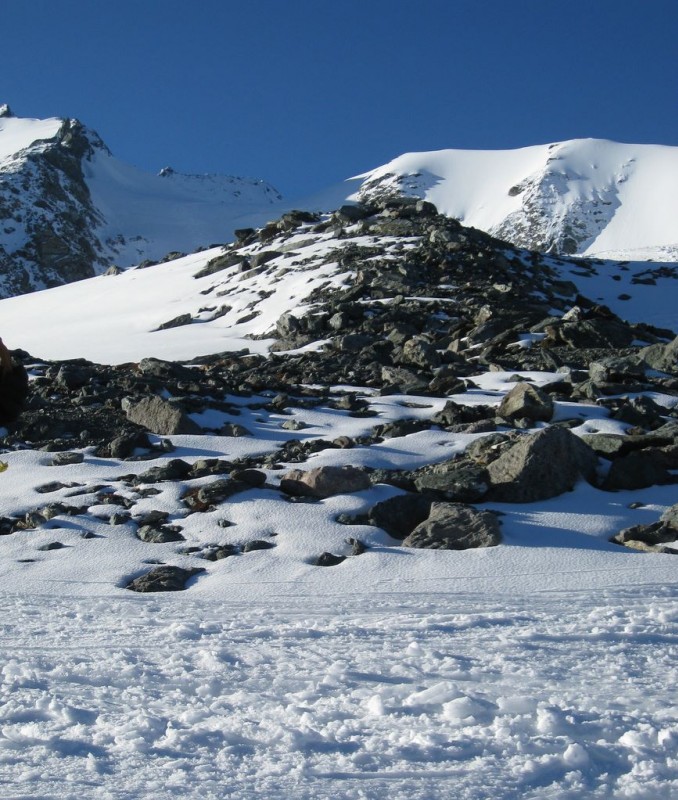 Le Grand Col : Vue sur la glacier du Grand Col
