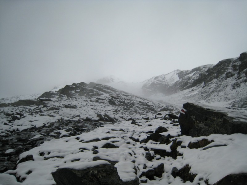 #8 Montée : Il a neigé vers 2200 Montée : Il a neigé vers 2200