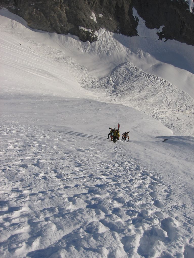 #3 Grande Casse : Quand on sort avec M. Brosse, c Grande Casse : Quand on sort avec M. Brosse, c'est nous qui faisons la trace...