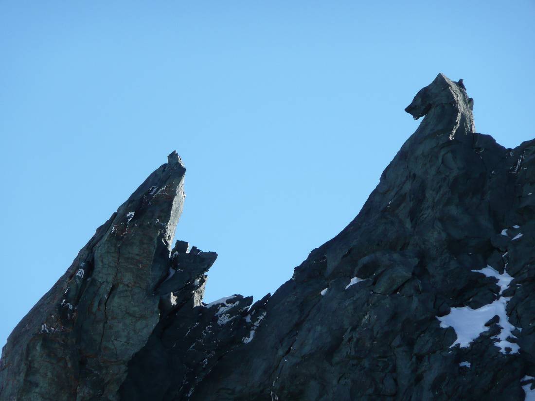 #5 au col des Roches : rocher à tête de hyène ! au col des Roches : rocher à tête de hyène !