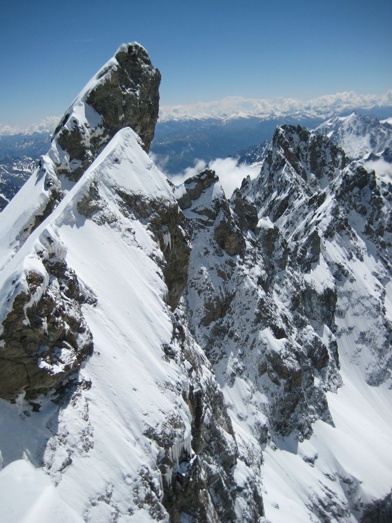 #5 Doigt de Dieu : et Pavé, Gaspard .. Agneaux Doigt de Dieu : et Pavé, Gaspard .. Agneaux