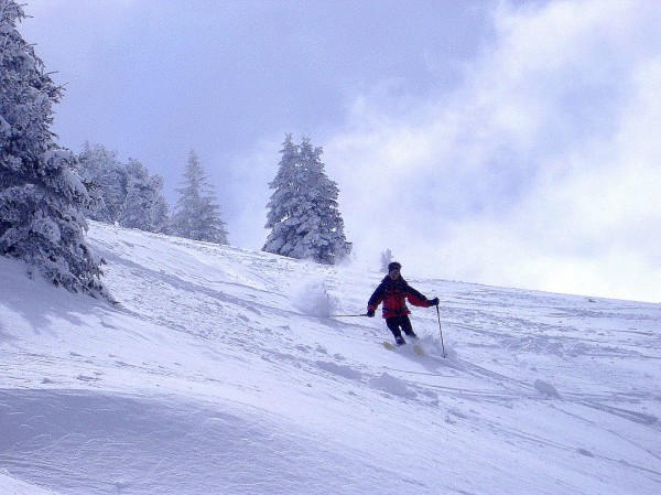 Encore bonne à skier! : Bien que lourde, la neige est encore souvent bonne à skier dans les passages ombragés. 
Attention toutefois, les deux ressauts de l'itinéraire (pas du loup et au dessus du Habert de Bovinant sont plutôt douteux et ne devraien