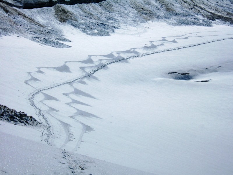 Pourri par le col des Roches : Traces et arabesques: les skieurs de randonnée seraient ils des artistes?