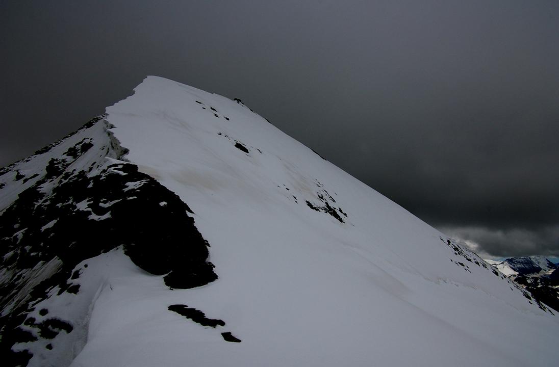 #9 Au col 3598 : La Grande Sassière de profil, avec son arrête Est cornichée.
Décision de ne pas retourner au sommet aujourd Au col 3598 : La Grande Sassière de profil, avec son arrête Est cornichée.
Décision de ne pas retourner au sommet aujourd'hui. Il faut laisser la FN à un prochain skitourien!!!