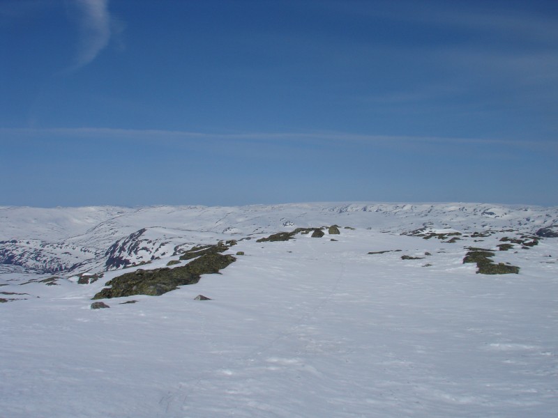 #4 Vue du sommet : C Vue du sommet : C'est plat quand meme on peut voir le folgefonna au loin