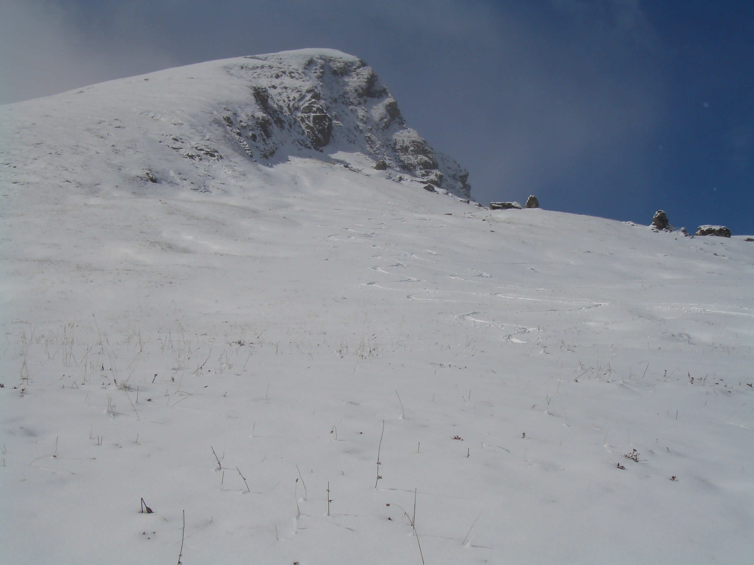 #1 traces : belles traces traces : belles traces