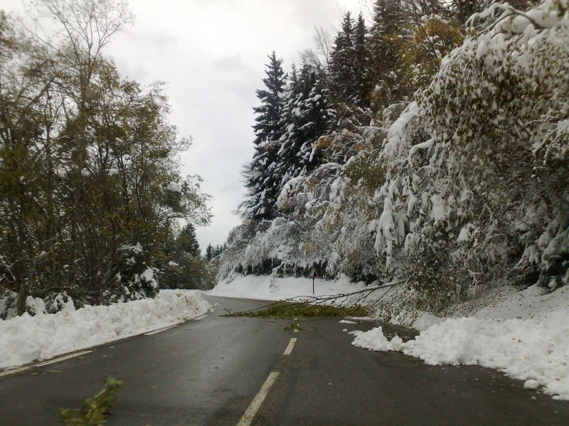 Sur la route : La lourdeur de la neige fait plier les arbres