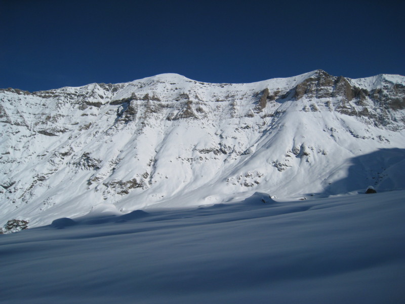 #2 Ronce : Face Sud de Ronce Ronce : Face Sud de Ronce