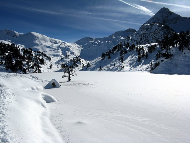 #2 Le lac inférieur de Bassiver : Un arbre isolé au milieu Le lac inférieur de Bassiver : Un arbre isolé au milieu