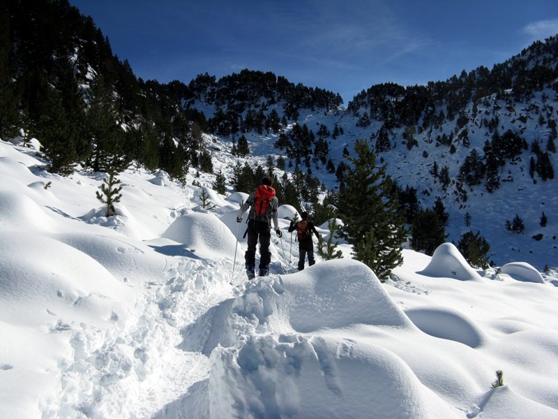 #1 Vallon de Bassiver : Juste avant le premier lac Vallon de Bassiver : Juste avant le premier lac
