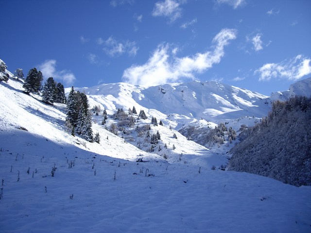 #1 Le départ : C Le départ : C'est un peu rébarbatif au départ mis au-dessus des sapins, c'est tout bon