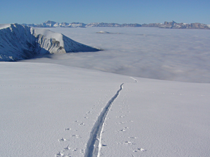 #1 Trace sur la crête : très agréable, personne en vue. Trace sur la crête : très agréable, personne en vue.