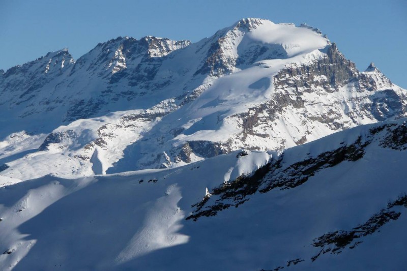 #8 Le Grand Paradis : Pour le printemps prochain !! Le Grand Paradis : Pour le printemps prochain !!