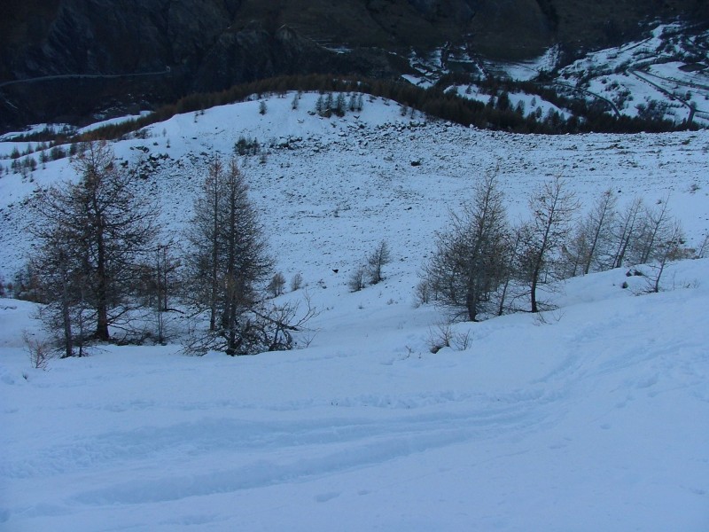 #12 Avant la foret : Un chamois a la limite des arbres
et on va pas tarder à déchaussser Avant la foret : Un chamois a la limite des arbres
et on va pas tarder à déchaussser