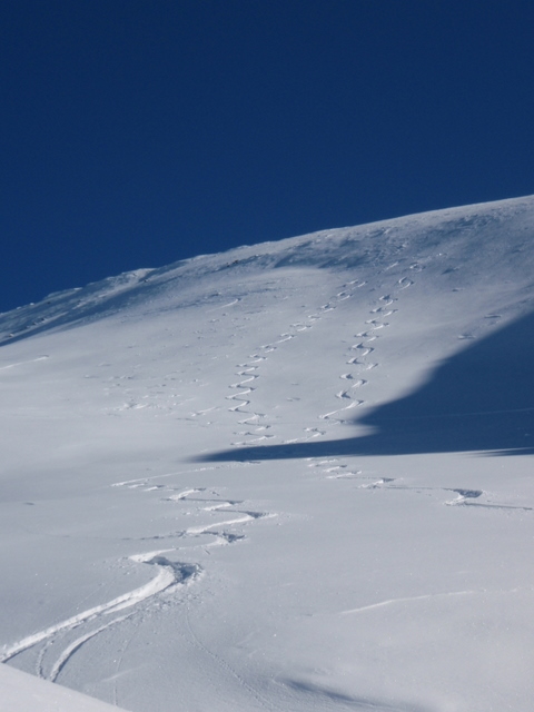 #6 Poudre Queyras : Pas trop mauvaise neige pour novembre... Poudre Queyras : Pas trop mauvaise neige pour novembre...