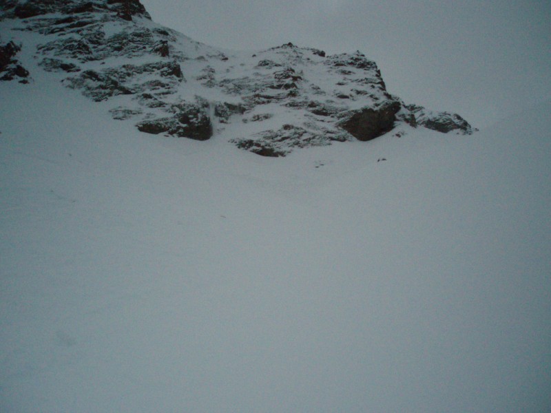 Combe avalancheuse : Vue de la combe où la coulée s'est produite.