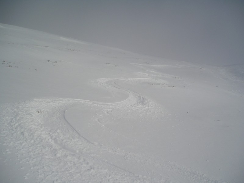 #1 Freeride : La pow-pow vole Freeride : La pow-pow vole