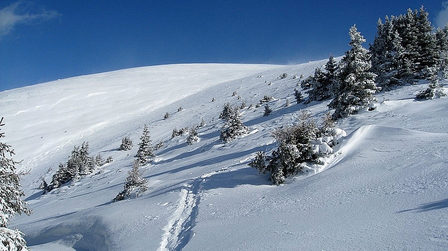 #5 Conditions du jour : Il faut vraiment rester au centre de la combe.. Conditions du jour : Il faut vraiment rester au centre de la combe..