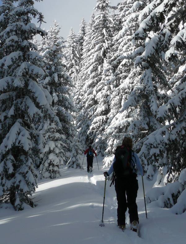 #4 Sur les pas de Jack London : Faites quand même attention aux ours !! Sur les pas de Jack London : Faites quand même attention aux ours !!